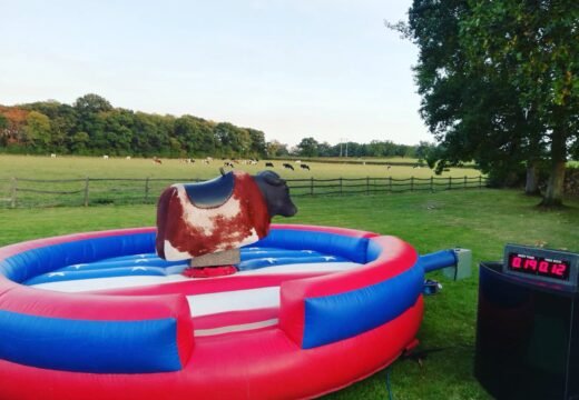 rodeo bull hire essex has to offer