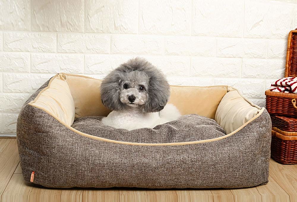 The Beginners Guide To Dog Beds For Every Time Of Year