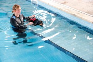 How Dog Hydro Pool Therapy Can Be Significant For Your Dog?